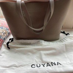 Cuyana Small Structured Tote and Organizer